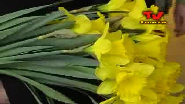 media-videoads-video-03_2008-zdrowie