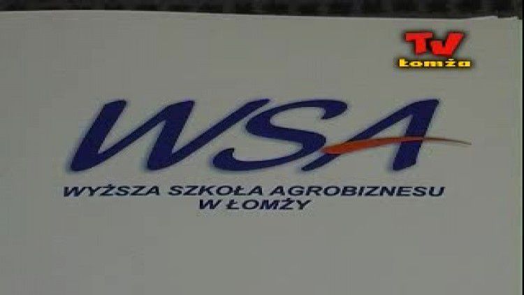 media-videoads-video-05_2008-wsa