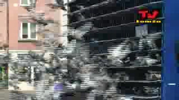 media-videoads-video-05_2008-golebie