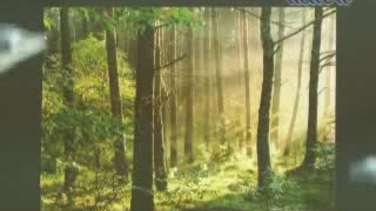 zambrow_-_wystawa_fotografii.flv