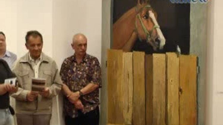 galeria_sw_-_maciej_czyzewski.flv