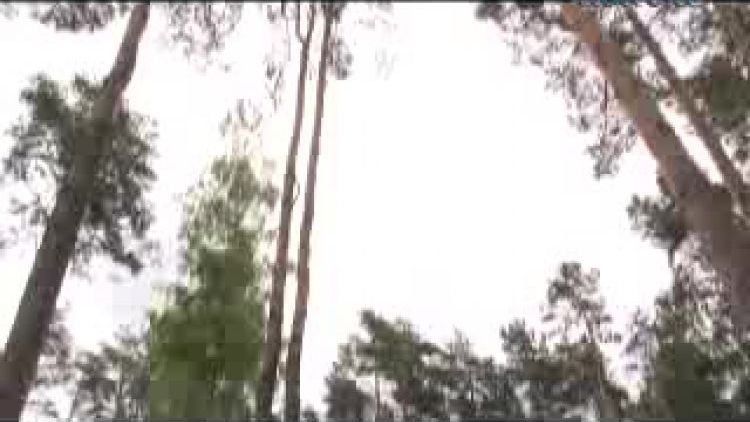 piknik_diabetykow.flv