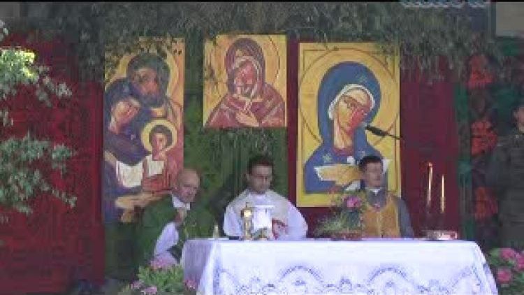 vii_wystawa_koni_hodowlanych.flv