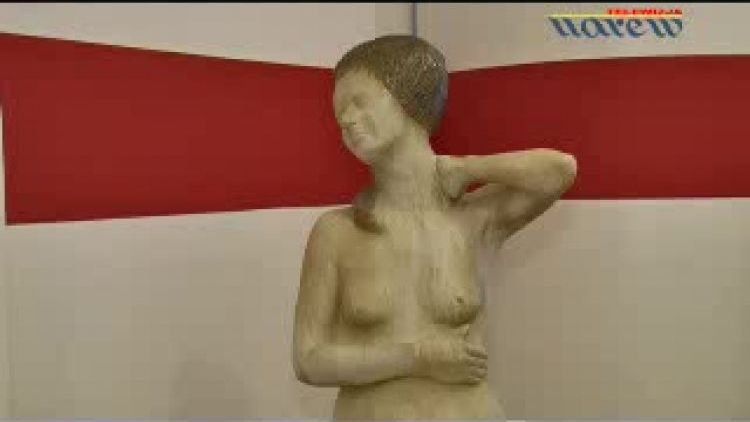 galeria_sztuki_-_wierzbowscy.flv