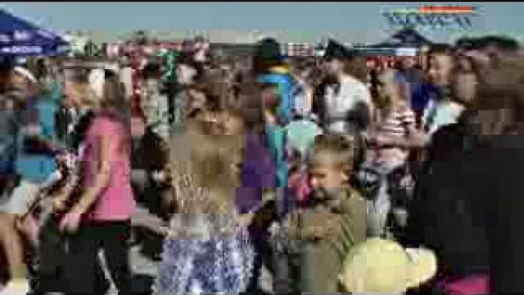 sapinska_-_piknik_z_mlekovita.flv