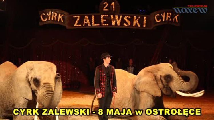 spot_cyrk_zalewski_ostroleka.mp4